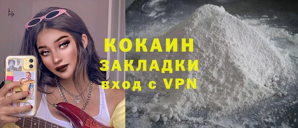 дживик Гусь-Хрустальный