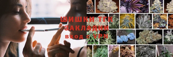 ПСИЛОЦИБИНОВЫЕ ГРИБЫ Гусев