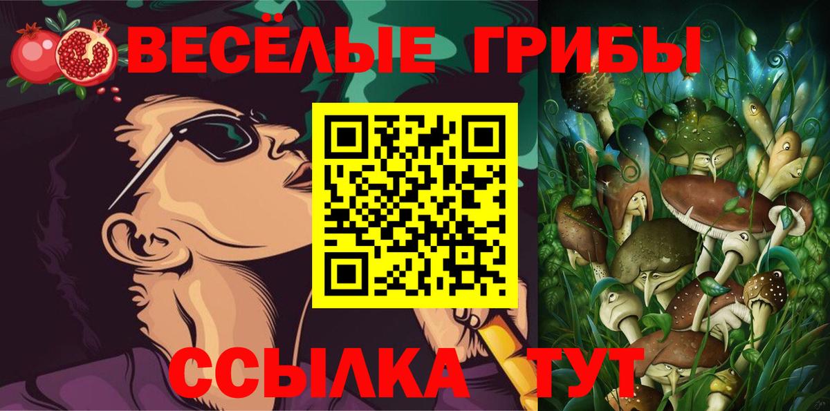Галлюциногенные грибы ЛСД  Вход с VPN  Галлюциногенные грибы GOLDEN TEACHER  Заволжье 